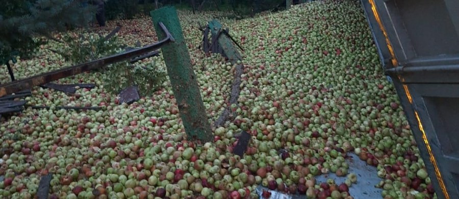 Jedna osoba została zabrana do szpitala w wyniku wypadku ciężarówki w Przyborowie w Małopolsce. Do rowu wpadły tony jabłek, które były przewożone przez pojazd.
