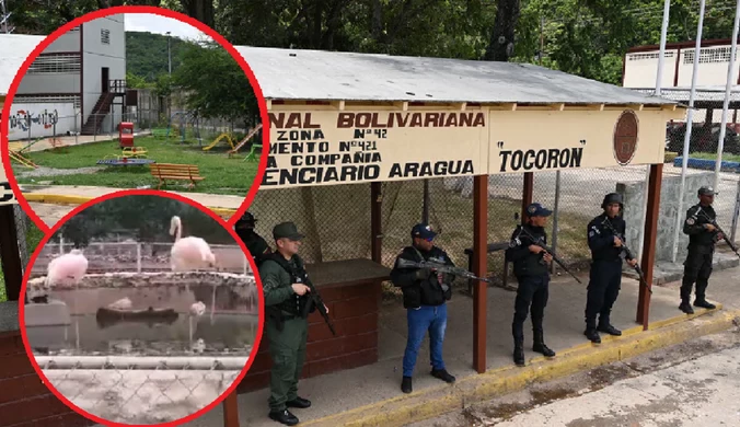 Skazańcy stworzyli "luksusowe" więzienie. W środku basen, restauracje i zoo