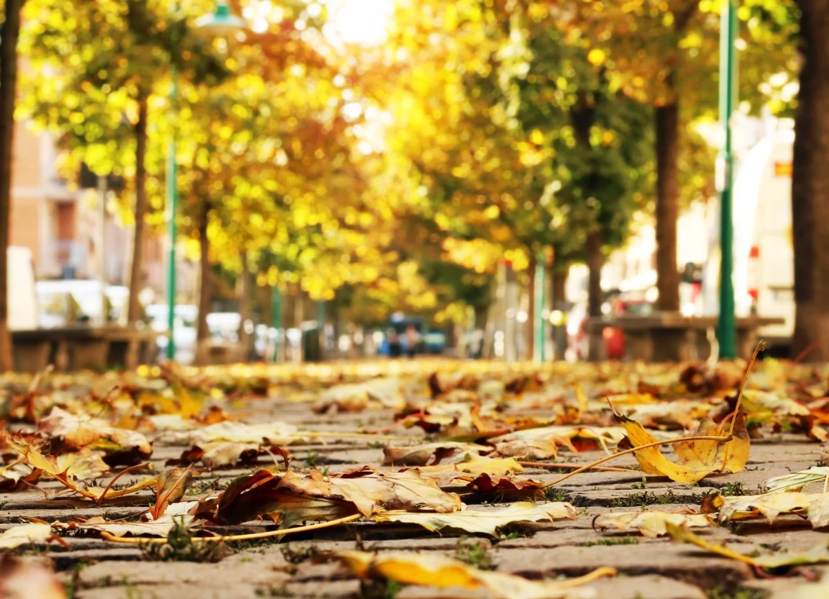 Chociaż ostatni weekend w wielu miejscach bezwzględnie przypomniał, że kalendarzowe lato się skończyło, to najbliższe dni pozwolą nam jeszcze nacieszyć się piękną pogodą. Pierwsze dni kalendarzowej jesieni będą wyjątkowo ciepłe i słoneczne. Opady deszczu i ochłodzenie mogą pojawić się dopiero pod koniec tygodnia.