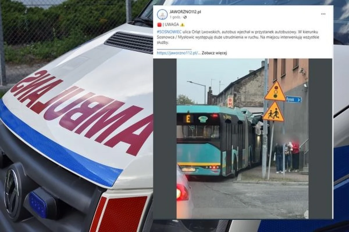 Trzy osoby, wśród nich 2-letnie dziecko, zostały poszkodowane wskutek najechania autobusu komunikacji miejskiej na przystanek w Sosnowcu. Policja wyjaśnia przyczyny zdarzenia, wstępne ustalenia mówią o zasłabnięciu kierowcy.