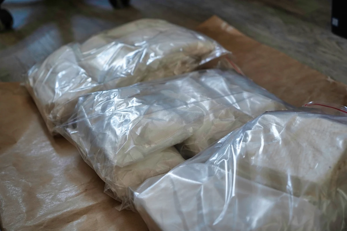U 31-latka z Torunia policja znalazła prawie 24 kg narkotyków w tym amfetaminę, MDMA, marihuanę i kokainę. Mężczyzna usłyszał zarzut wprowadzania do obrotu i posiadania znacznej ilości narkotyków. Podejrzany jest recydywistą, grozi mu do 18 lat więzienia.