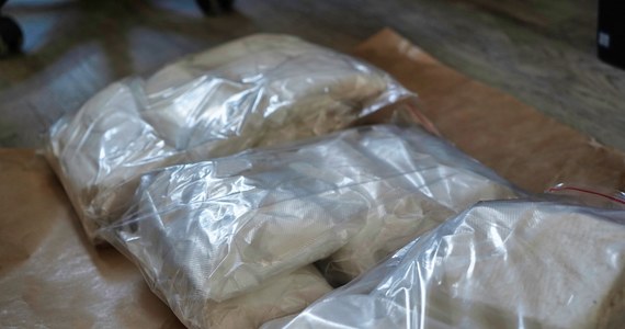 U 31-latka z Torunia policja znalazła prawie 24 kg narkotyków w tym amfetaminę, MDMA, marihuanę i kokainę. Mężczyzna usłyszał zarzut wprowadzania do obrotu i posiadania znacznej ilości narkotyków. Podejrzany jest recydywistą, grozi mu do 18 lat więzienia.