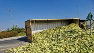 Kukurydza zablokowała obwodnicę. Niecodzienny wypadek pod Nysą