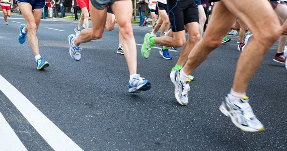 Już w najbliższą niedzielę, 1 października, odbędzie się 15. edycja Silesia Marathonu, czyli największej imprezy biegowej w Śląskiem. Biegacze wyruszą sprzed Stadionu Śląskiego w Chorzowie, pobiegną przez 4 śląskie miasta, a finiszować będą na bieżni słynnego "Kotła Czarownic".