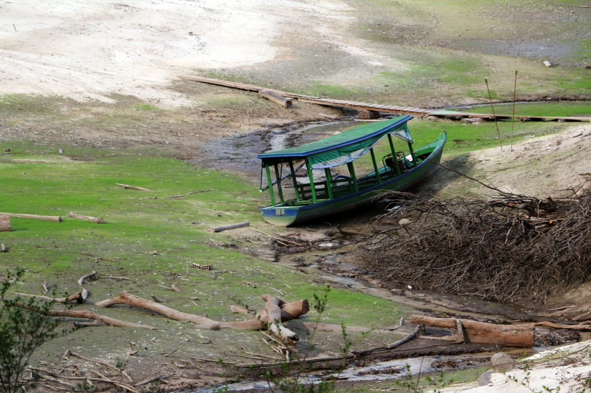 ​Dotkliwa susza, która nawiedziła tropikalne lasy brazylijskiej Amazonii, może spowodować w ciągu kilku najbliższych miesięcy poważne problemy w życiu półmilionowej ludności zamieszkałej na tych terenach - ostrzegły miejscowe władze.