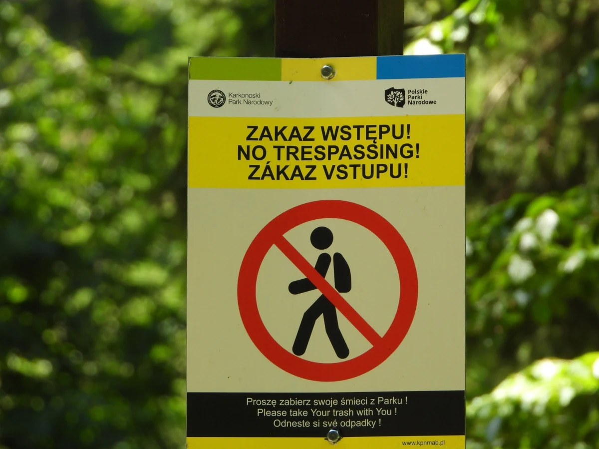 ​Zamknięte są niektóre szlaki w Karkonoszach. Są niedostępne ze względu na wycinkę drzew zagrażających turystom i prace saperskie. Którędy nie przejdziemy?