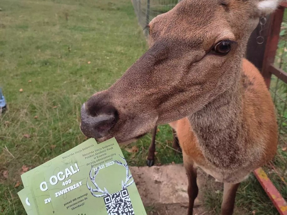 /Green Solution /Materiały prasowe