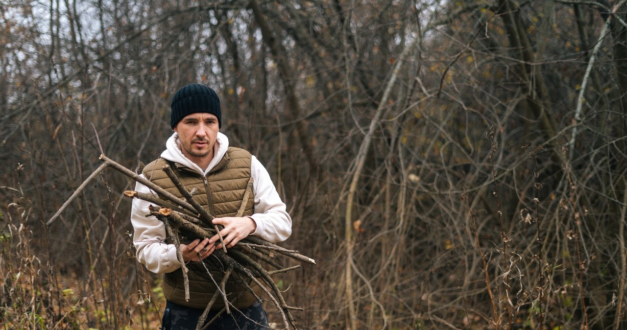 Leśnicy zapraszają do lasów. Drewno czeka