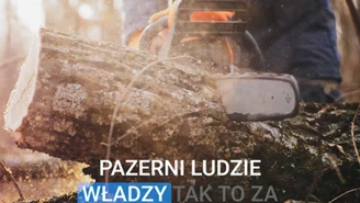 Nowy spot KO. "Lasu nie ma. Zrabowali go pazerni ludzie władzy"