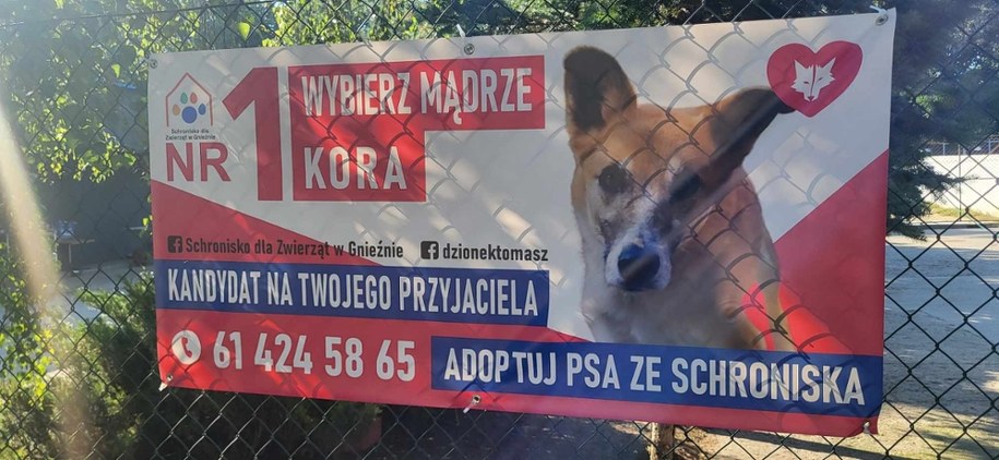 /Beniamin Piłat /RMF FM - reporter