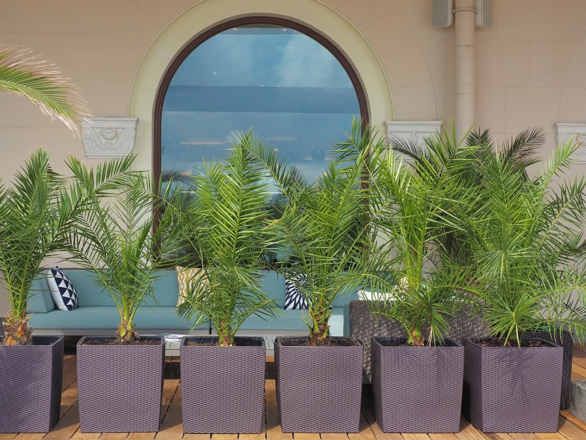 ​Dla pacjentów Kliniki Hematologii Uniwersyteckiego Szpitala Klinicznego w Rzeszowie został otwarty ogród zimowy. Mogą w nim odpoczywać i mieć kontakt z przyrodą. To namiastka raju - powiedział ich przedstawiciel.