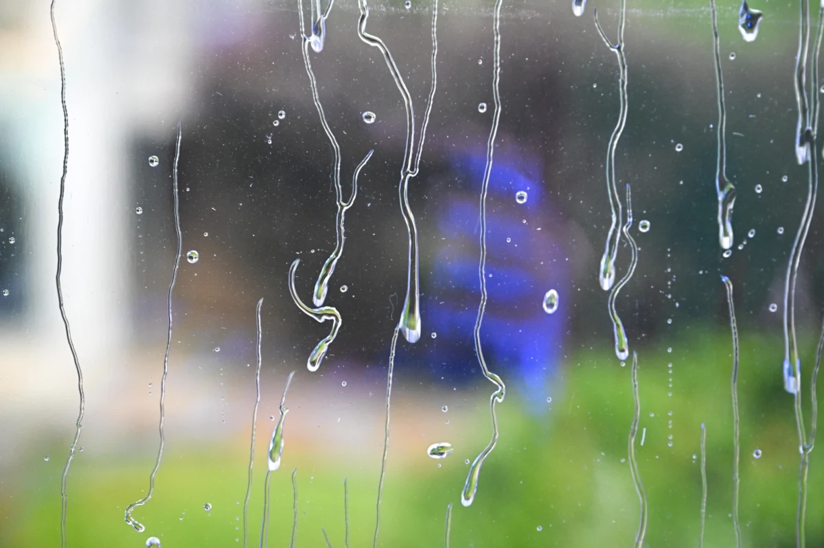 Od północy i północnego zachodu zacznie napływać nad Polskę niż Agnes. W sobotę będzie chłodno i pochmurno. W niedzielę więcej słońca - informuje IMGW.  