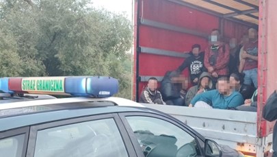36 nielegalnych migrantów zatrzymali strażnicy graniczni w Kostrzynie nad Odrą