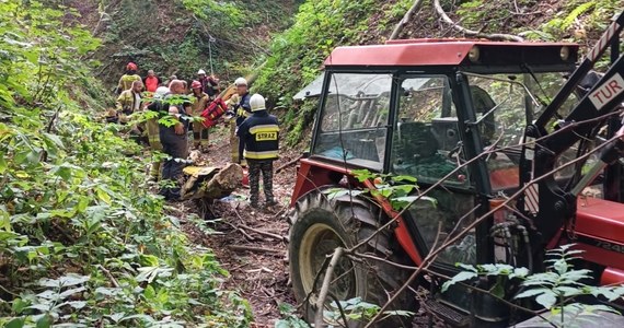 55-letni mężczyzna zginął w wypadku podczas wycinki drzew w Gorajcu-Zastawie na Lubelszczyźnie. Mężczyzna został przygnieciony przez konar.