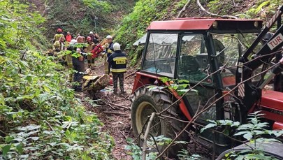 Tragedia podczas wycinki drzew na Lubelszczyźnie. Nie żyje 55-latek