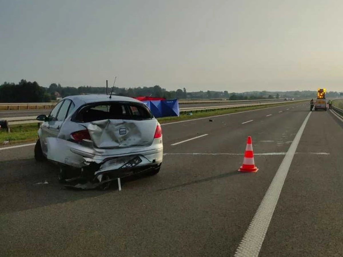 Do tragedii doszło nad ranem na autostradzie A4 między węzłami Łańcut - Przeworsk na Podkarpaciu. Pasażerkę auta, która po wypadku wyszła z pojazdu, śmiertelnie potrącił inny samochód osobowy. 