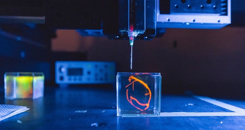 Naukowcy Uniwersytetu Stanforda otrzymali finansowanie na eksperymenty polegające na drukowaniu w 3D ludzkich serc i wszczepianiu ich żywym świniom. To ważny krok na drodze do rozwiązania problemów z dostępnością organów do transplantacji.