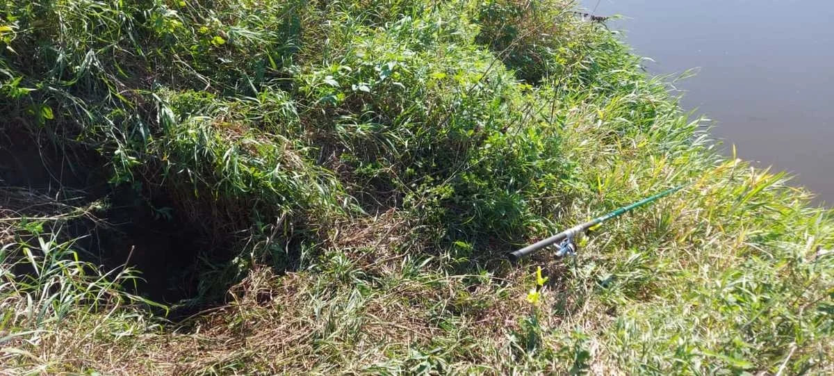 Do tragicznego zdarzenia doszło w piątek w Siemieniu ( woj. lubelskie). 72-letni mężczyzna utonął w rzece po tym, jak idąc na połów ryb, wpadł do dołu wykopanego przez bobry. Niestety jego życia nie udało się uratować. 