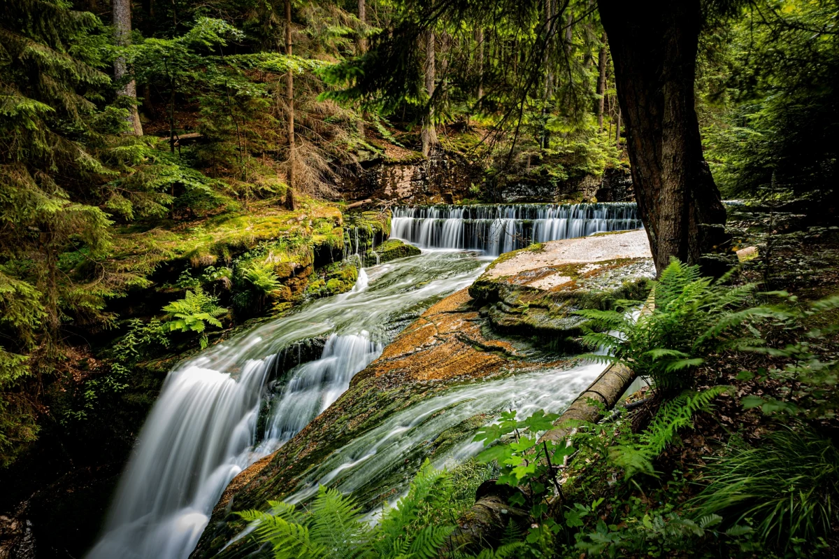 37 tys. przedmiotów wybuchowych i niebezpiecznych usunęli saperzy przy szlaku turystycznym w okolicach wodospadu Szklarki w Szklarskiej Porębie. Akcja trwała dwa miesiące. 