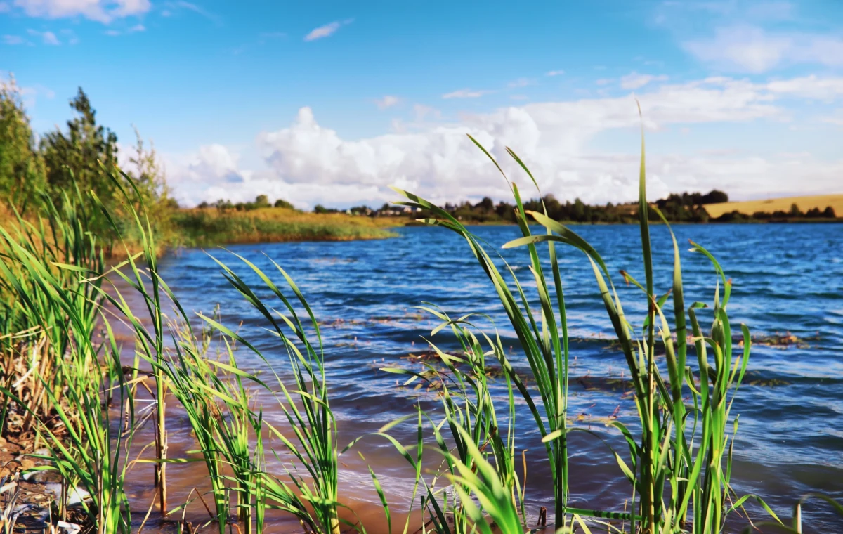 Kilkadziesiąt interwencji związanych z silnym wiatrem mieli już warmińsko-mazurscy strażacy. Niedaleko Nowego Miasta Lubawskiego konar spadł na dwa auta, nikomu na szczęście nic się nie stąło.