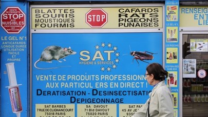 Francuski rząd zapowiada zaostrzenie walki z inwazją pluskiew