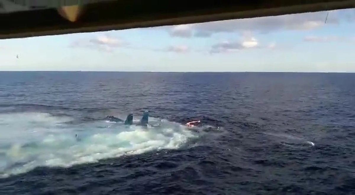 Rok 2016 nie był najlepszym w historii Admirała Kuzniecowa, jedynego rosyjskiego lotniskowca. Podczas lądowań na okręcie doszło wówczas do katastrof dwóch samolotów - Su-33 i MiG-29KR. W ostatnich dniach do mediów wyciekło nagranie z pokładu lotniskowca, na którym widać następstwa nieudanego lądowania Su-33.