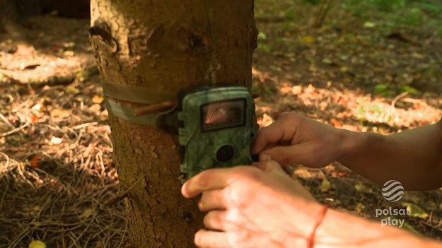 Serial dokumentalny Ireny oraz Jerzego Morawskich, czołowych polskich reportażystów, pokazujący życie bieszczadzkich drwali oraz zwierząt. Poza ludzkimi historiami w serii emitowanej w Polsat Play pojawiają się także wątki przyrodnicze. Jakie sekrety skrywają Bieszczadzkie lasy?

