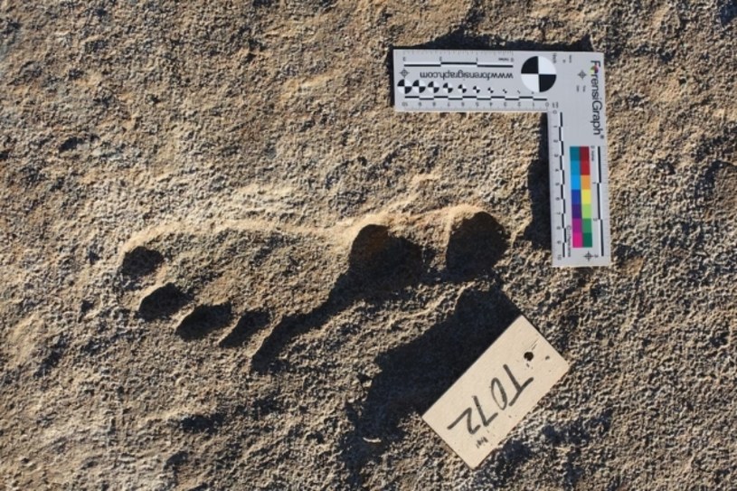 Nowe badania potwierdziły, że ślady rozsiane po terenach dzisiejszej pustyni Nowego Meksyku są pozostawione przez ludzkie stopy. Stopy sprzed 21,5 tys. lat, czyli będące najstarszym dowodem obecności człowieka na tym terenie. 