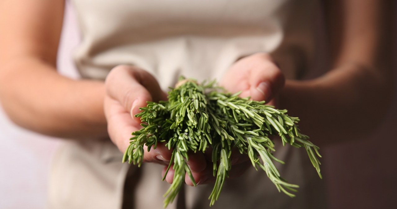 Naukowcy sprawdzili viralowy trend z TikToka... działa!