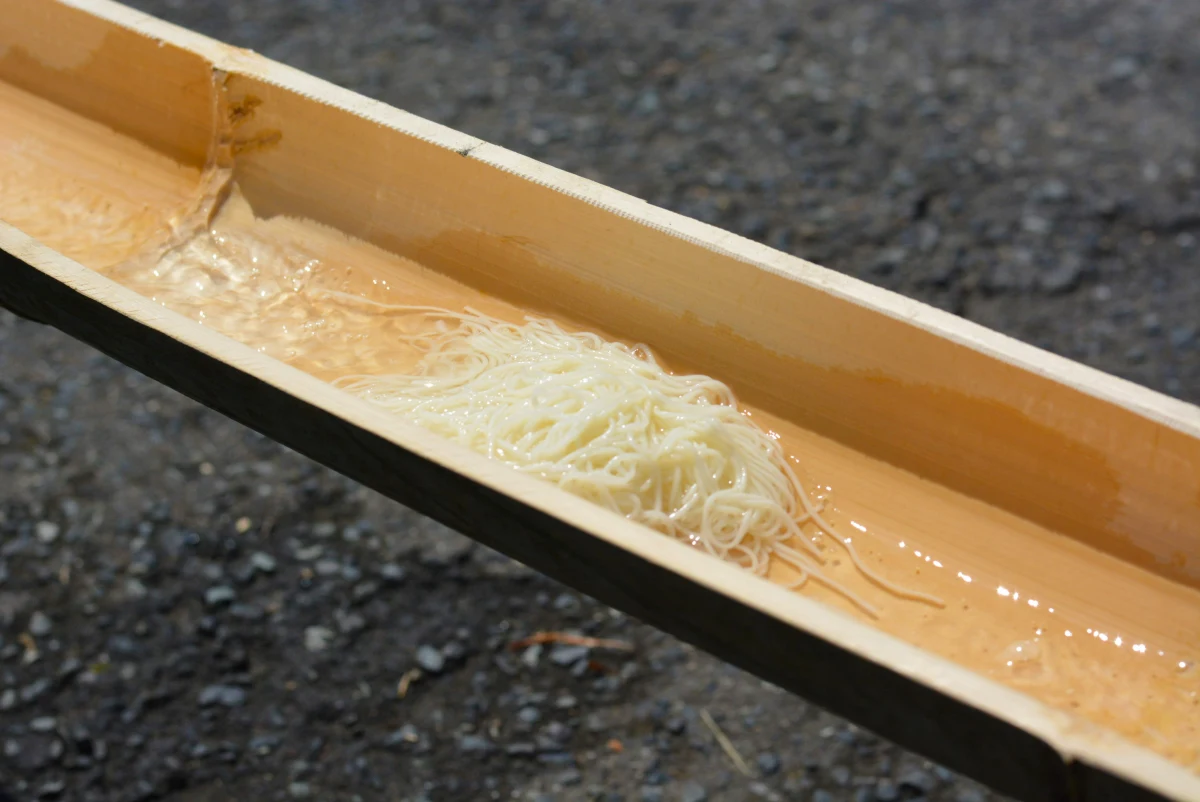 Zatrucie pokarmowe stwierdzono u 862 osób, które wcześniej zjadły posiłek w restauracji serwującej tzw. płynący makaron – nagashi somen – w mieście Tsubata w prefekturze Ishikawa, leżącej w środkowej części japońskiej wyspy Honsiu – informuje  w piątek dziennik "Asahi Shimbun"