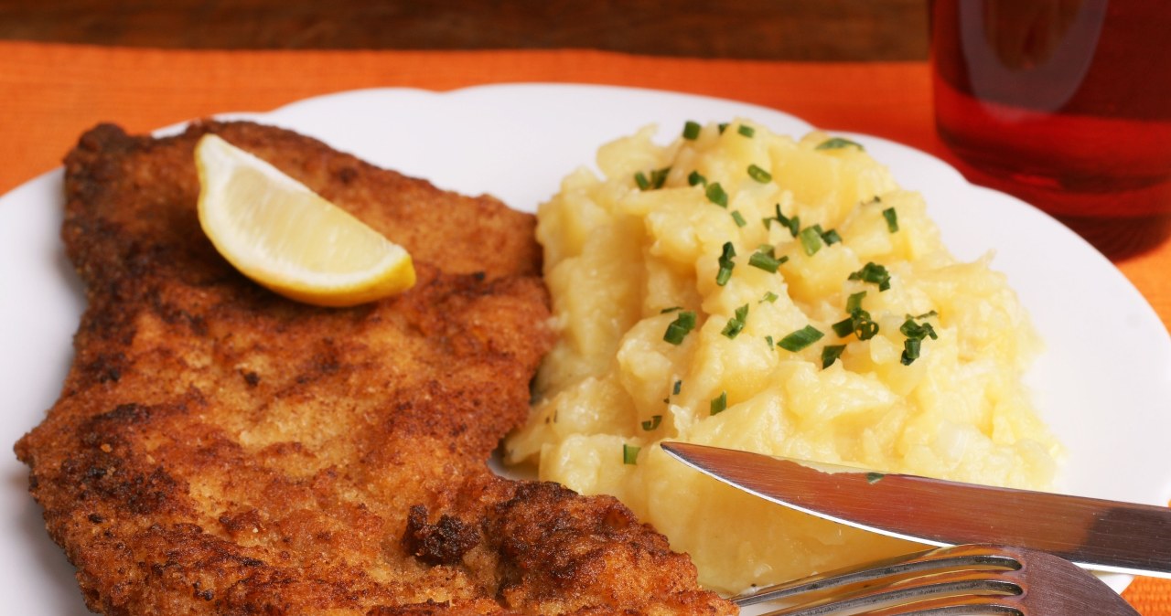 Ceny w schroniskach zwalają z nóg. "Ktoś robi ze mnie frajera"