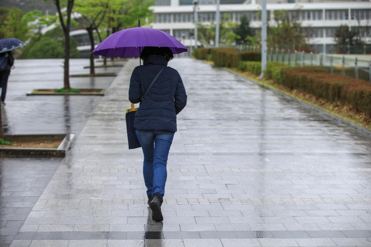 Zgodnie ostrzeżeniami Instytutu Meteorologii i Gospodarki Wodnej sobota w części kraju będzie wietrzna. We wschodniej połowie kraju i na północy porywy wiatru mogą osiągnąć nawet 80 km/h. Przeważać będzie zachmurzenie duże, występować będą przelotne opady deszczu.