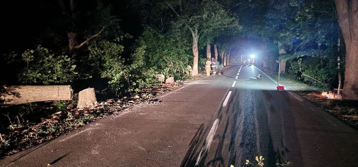 Minionej nocy w Grabówku na Pomorzu strażacy zabezpieczali 12 naciętych drzew przy drodze. Musieli je wyciąć. Policja szuka sprawcy. Ponad tydzień temu zginęło tam dwóch nastolatków.