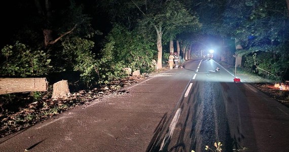 Minionej nocy w Grabówku na Pomorzu strażacy zabezpieczali 12 naciętych drzew przy drodze. Musieli je wyciąć. Policja szuka sprawcy. Ponad tydzień temu zginęło tam dwóch nastolatków.