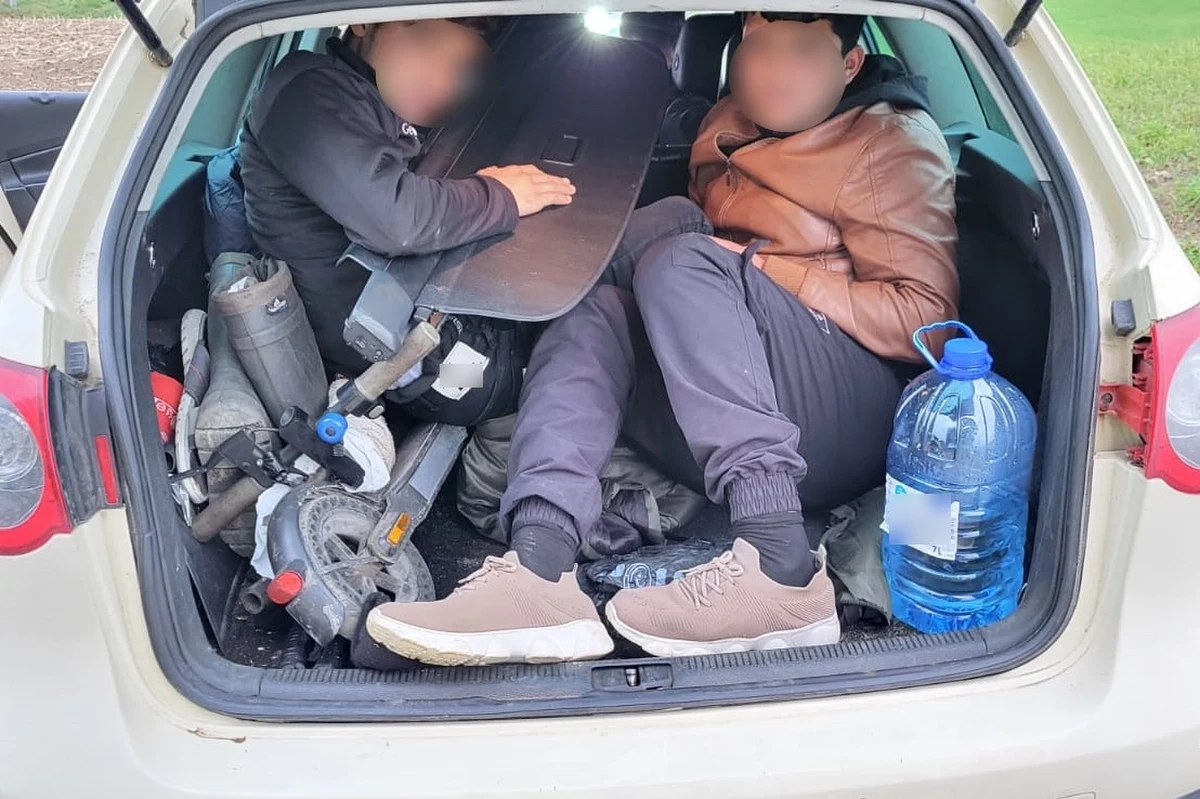 Siedmiu nielegalnych migrantów - obywateli Syrii przewoził w osobowym aucie "kurier" pochodzący z Estonii. Mężczyzna został zatrzymany przez Straż Graniczną w pobliżu granicy z Litwą. Kierowca zabrał cudzoziemców na Łotwie i miał ich dowieźć do Niemiec.

