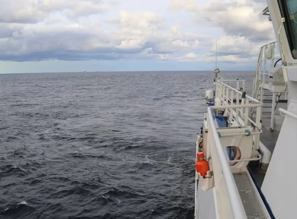 Wszystko wskazuje na to, że uszkodzenia na gazociągu Balticconnector powstały w wyniku działania zewnętrznego. Wiele źródeł mówi o sabotażu, ale estońskie ministerstwo obrony jest ostrożne w osądach. Bierze pod uwagę także błąd człowieka. Niektórzy eksperci mówią o sabotażu, który miałby być reakcją Rosji na przyjęcie Finlandii do NATO. Sojusz zadeklarował pomoc w wyjaśnieniu przyczyn powstania uszkodzeń zarówno na gazociągu, jak i na kablu telekomunikacyjnym.