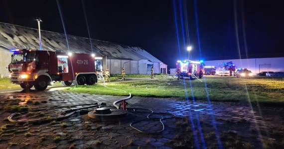 Potężne straty po nocnym pożarze firmy rolniczej w Nieżychowicach pod Chojnicami na Pomorzu. Według nieoficjalnych informacji mogło tam dojść do podpalenia. Ogień strawił ziarno i maszyny rolnicze o wartości 4 milionów złotych. 