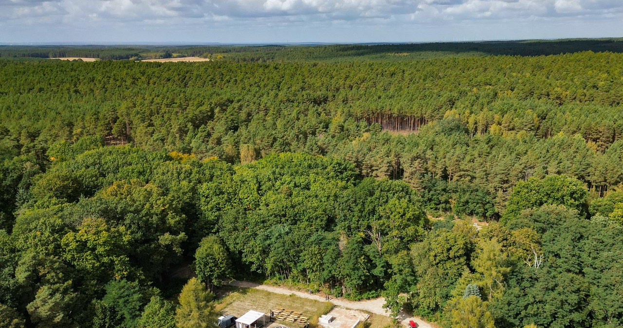 Ministerstwo, Klimatu, Środowiska, poinformowało, Sochaczewem, znajdują, ogromne, złoża, gorącej, słodkiej, wody, która, może, w Odkryto ogromne złoża gorącej wody. Zapowiedziano budowę geotermii