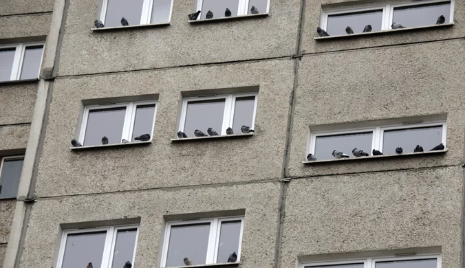 Kraków: Kobieta wyrzuciła ponad 100 tys. złotych przez okno. Akcja policji 
