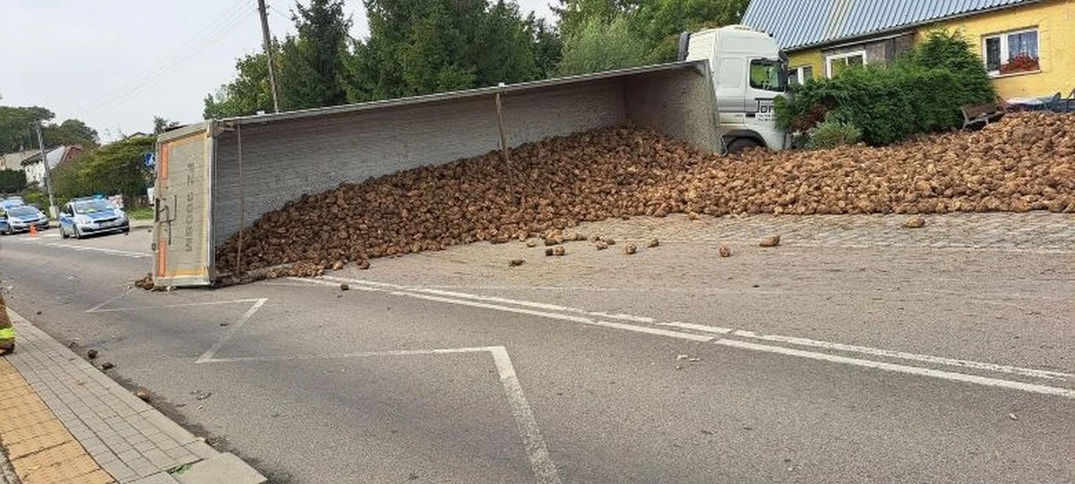 Tony buraków cukrowych wysypały się na jezdnię w Kołozębiu na Pomorzu po tym, jak przewróciła się tam naczepa ciężarówki. Na szczęście nikt nie odniósł obrażeń.