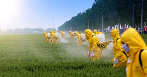 Kraje Unii Europejskiej nie osiągnęły większości wymaganej do przyjęcia lub odrzucenia wniosku Komisji Europejskiej dotyczącego przedłużenia o kolejne 10 lat stosowania kontrowersyjnego, chwastobójczego środka - glifosatu. Jego stosowanie jest obecnie dozwolone w UE tylko do 15 grudnia 2023 r.