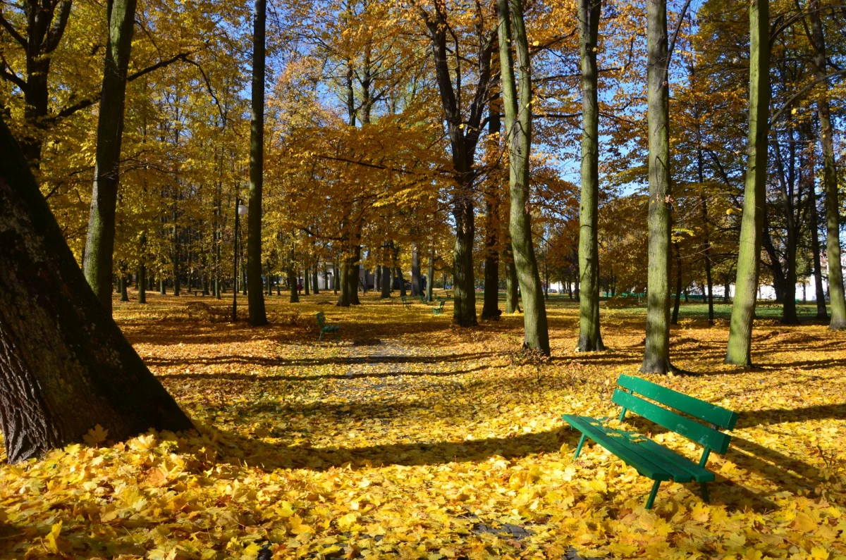Jaka pogoda czeka nas w ten weekend? Jak podaje Instytut Meteorologii i Gospodarki Wodnej, piątek i sobota będą bardzo ciepłe, a na termometrach zobaczymy ponad 20 stopni Celsjusza. Od niedzieli odczujemy wyraźne ochłodzenie. 