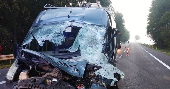 Jedna osoba została rano po zderzeniu samochodu dostawczego z łanią łosia, która wbiegła wprost pod koła. Do wypadku doszło dziś rano w miejscowości Krzewica na krajowej 2 w Lubelskiem. 

