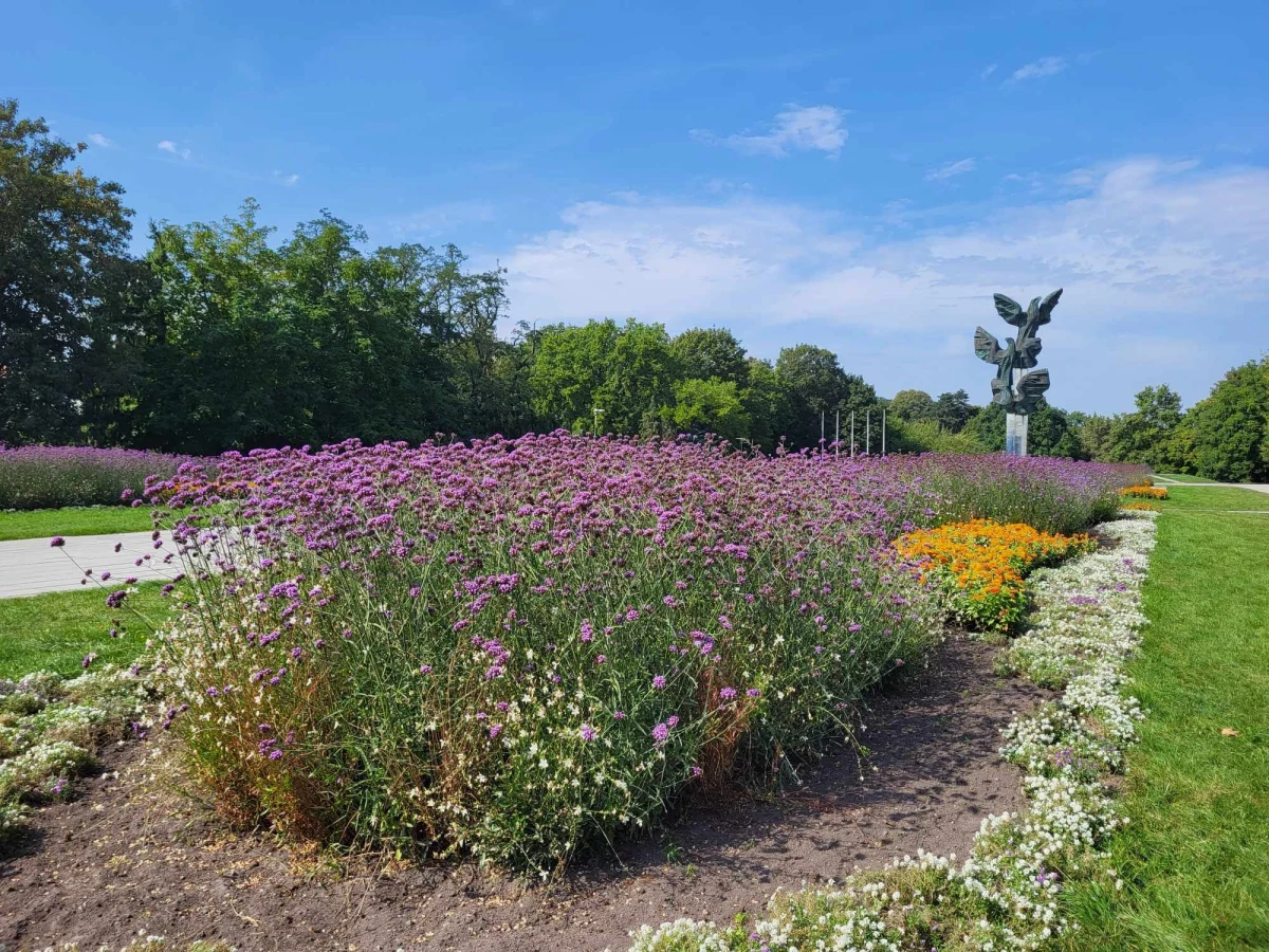 Kwiaty, które przez cały sezon zdobiły rabaty przed pomnikiem Czynu Polaków w Szczecinie, teraz mogą trafić do ogródków mieszkańców. Rośliny przed zimą nie trafią na śmietnik. Będzie można je sobie wziąć.