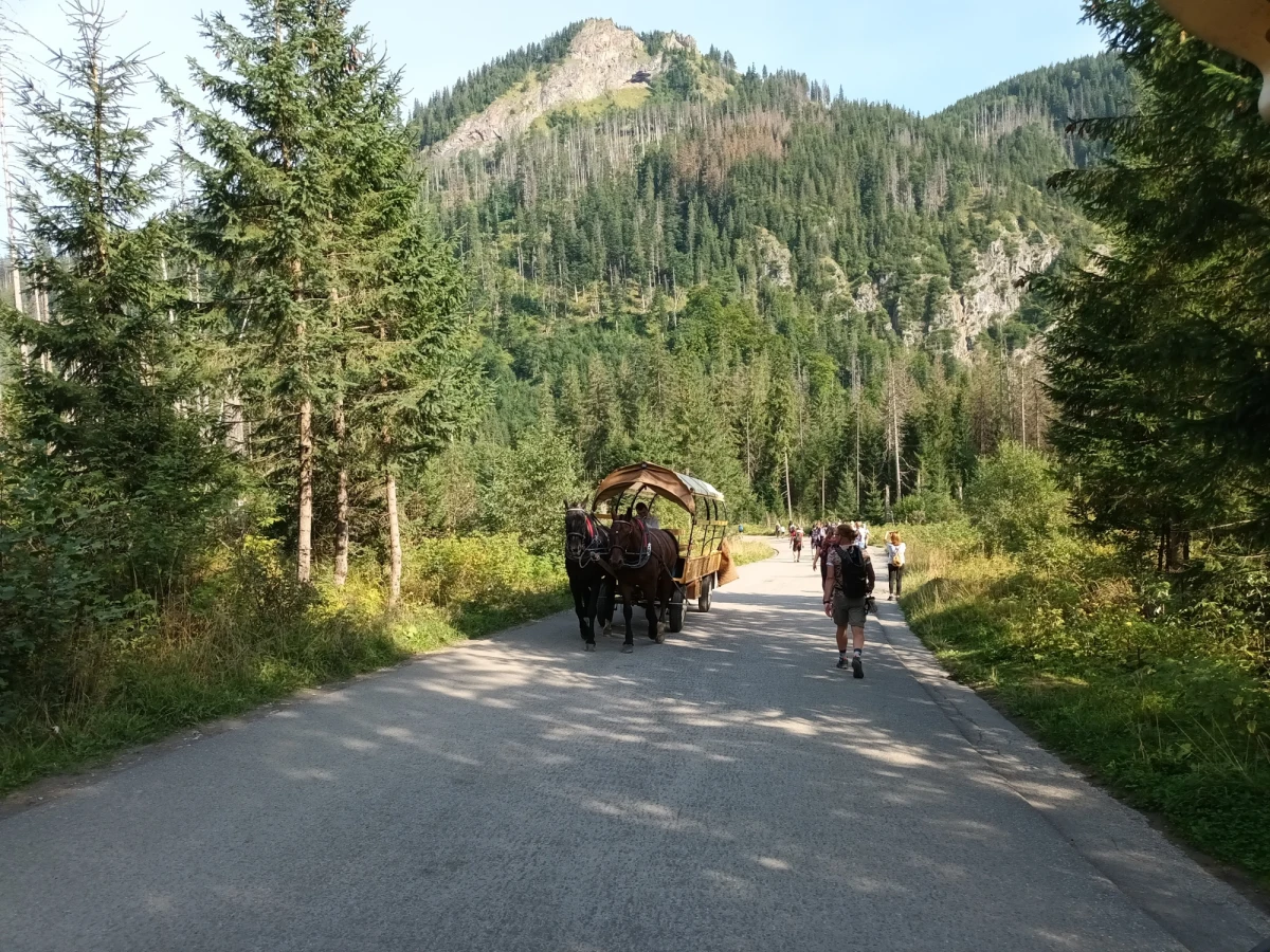 Umorzono postępowanie ws. znęcania się nad końmi wożącymi turystów do Morskiego Oka - decyzję podjął Sąd Rejonowy w Olkuszu (woj. małopolskie). Subsydiarny akt oskarżenia przeciwko pięciu osobom złożyła Fundacja Viva!, która już zapowiedziała wniesienie zażalenia na tę decyzję.