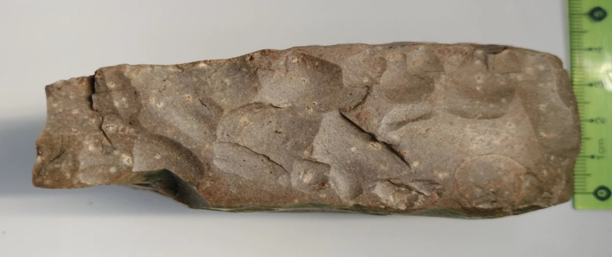 Fragment dużej siekiery krzemiennej i grot do oszczepu, które mają kilka tysięcy lat znaleziono przypadkiem na polu w gminie Potok Górny (Lubelskie) po świeżo wykonanej orce. Zabytki zostaną przekazane do Muzeum w Biłgoraju.

