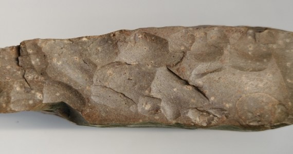 Fragment dużej siekiery krzemiennej i grot do oszczepu, które mają kilka tysięcy lat znaleziono przypadkiem na polu w gminie Potok Górny (Lubelskie) po świeżo wykonanej orce. Zabytki zostaną przekazane do Muzeum w Biłgoraju.

