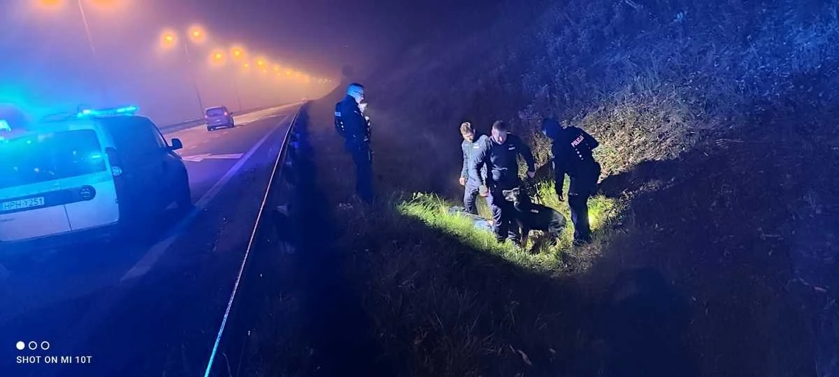 Do policyjnej celi trafił 36-latek, który w Płocku nie zatrzymał się do policyjnej kontroli. Po pościgu porzucił samochód, uciekł i ukrył się na drzewie. Mężczyznę wytropił pies policyjny.