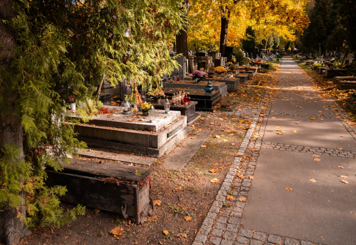 Trzech nastolatków z Dębicy odpowie za usiłowanie rozboju. Najpierw na cmentarzu zaatakowali seniorkę. Grożąc jej nożem żądali pieniędzy, potem pobili rówieśnika. 