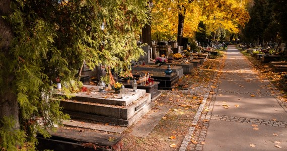 Trzech nastolatków z Dębicy odpowie za usiłowanie rozboju. Najpierw na cmentarzu zaatakowali seniorkę. Grożąc jej nożem żądali pieniędzy, potem pobili rówieśnika. 